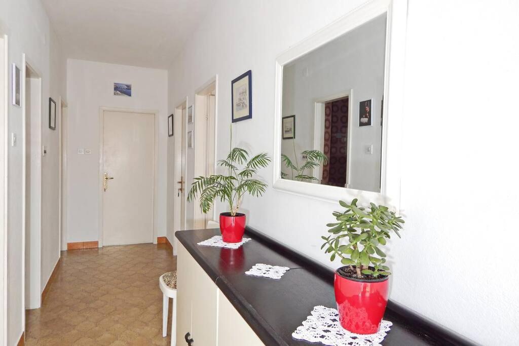 Apartment Eli Pag Town Extérieur photo