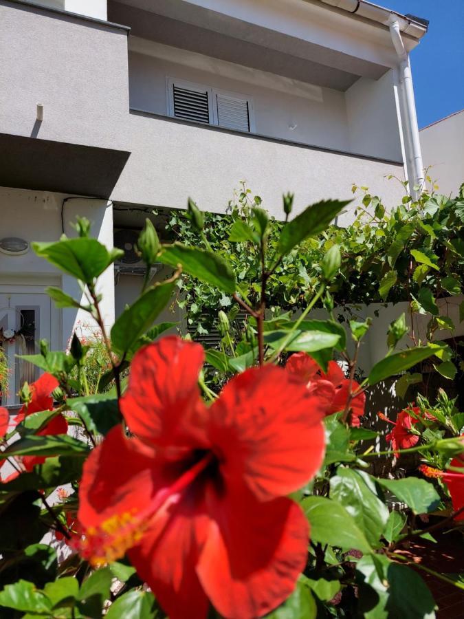 Apartment Eli Pag Town Extérieur photo